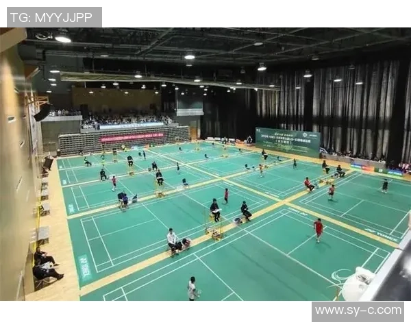 上海羽毛球队逆袭之旅揭秘从低谷到巅峰的奋斗历程与荣耀时刻 上海羽毛球队逆袭之旅揭秘从低谷到巅峰的奋斗历程与荣耀时刻