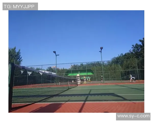 北京网球队在城市联赛中的强势表现与未来发展潜力分析 北京网球队在城市联赛中的强势表现与未来发展潜力分析