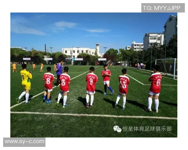 奇特足球的魅力与挑战探索这项运动背后的奇幻世界与独特规则