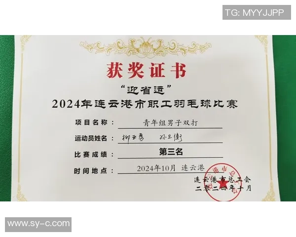 赛后复盘：北京羽毛球队与南京羽毛球队速度对比分析与战术探讨